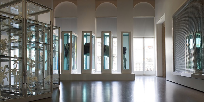 Damien Hirst Venice