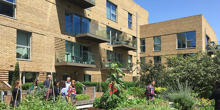 London Festival of Architecture educational tour