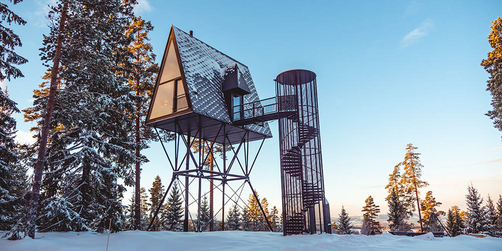 Some of most spectacular treetop in Norway | ARCHIVIBE