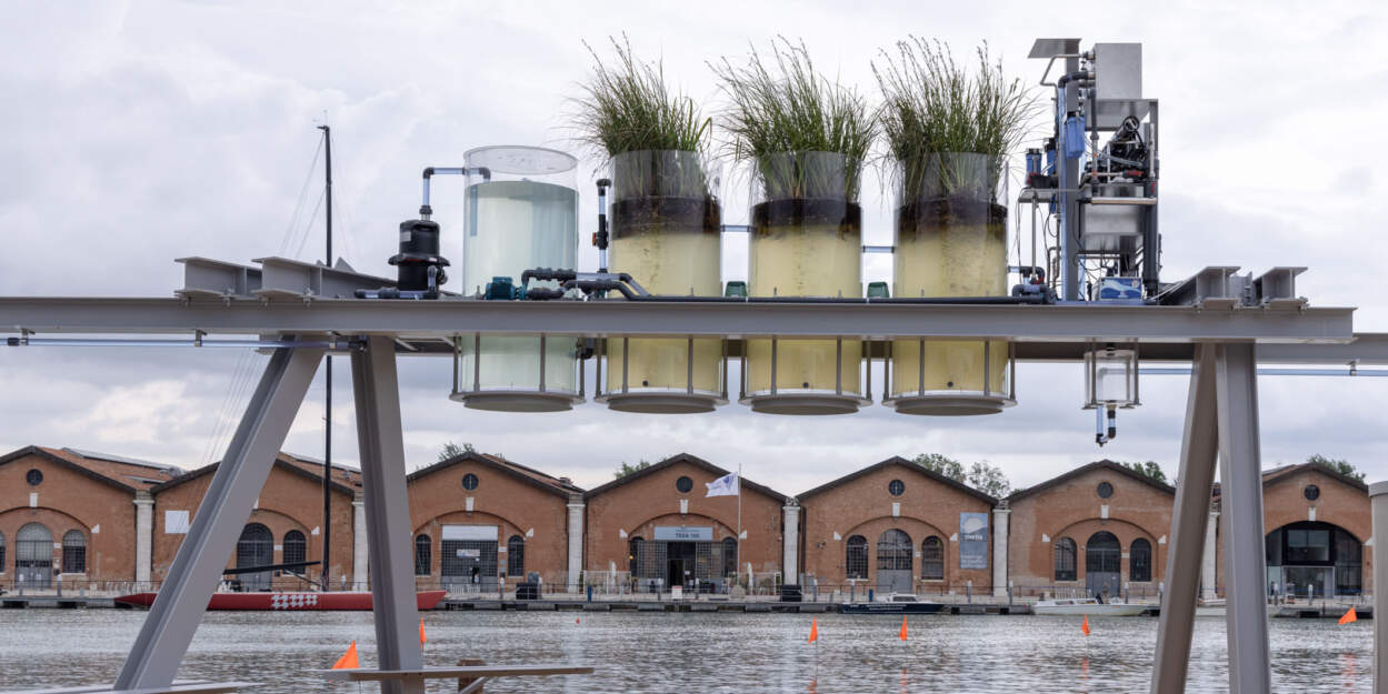 2025 Venice Architecture Biennale